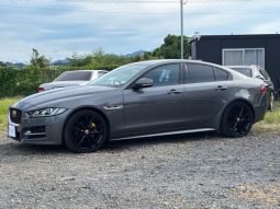JAGUAR XE 20D R Sport 2016 full