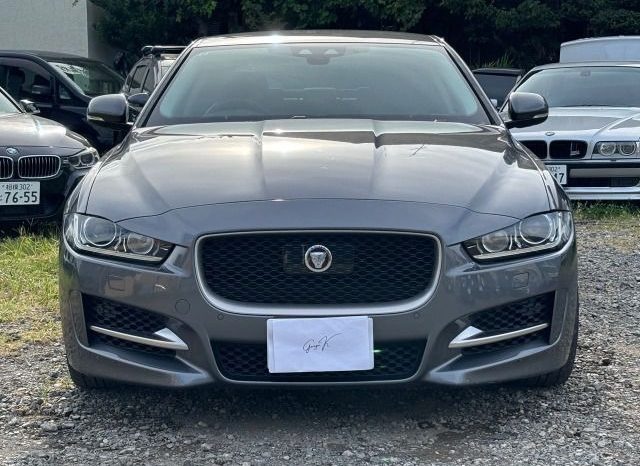 JAGUAR XE 20D R Sport 2016 full