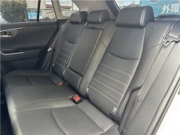 Toyota RAV4 Hybrid G 2021 full