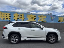 Toyota RAV4 Hybrid G 2021 full