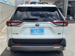 Toyota RAV4 Hybrid G 2021 full