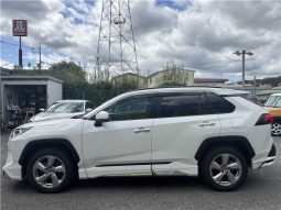 Toyota RAV4 Hybrid G 2021 full