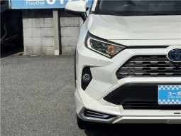 Toyota RAV4 Hybrid G 2021 full