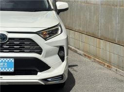 Toyota RAV4 Hybrid G 2021 full