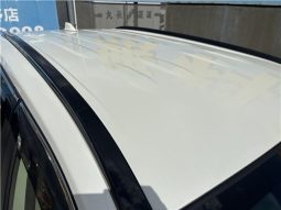 Toyota RAV4 Hybrid G 2021 full