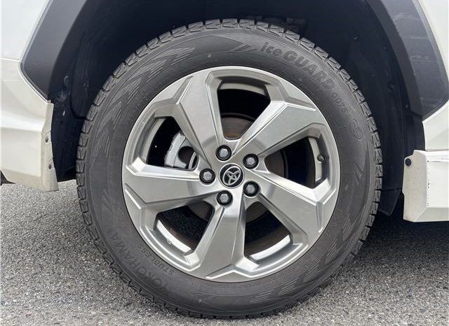 Toyota RAV4 Hybrid G 2021 full