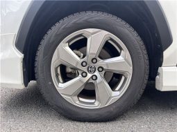 Toyota RAV4 Hybrid G 2021 full