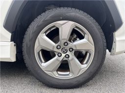 Toyota RAV4 Hybrid G 2021 full