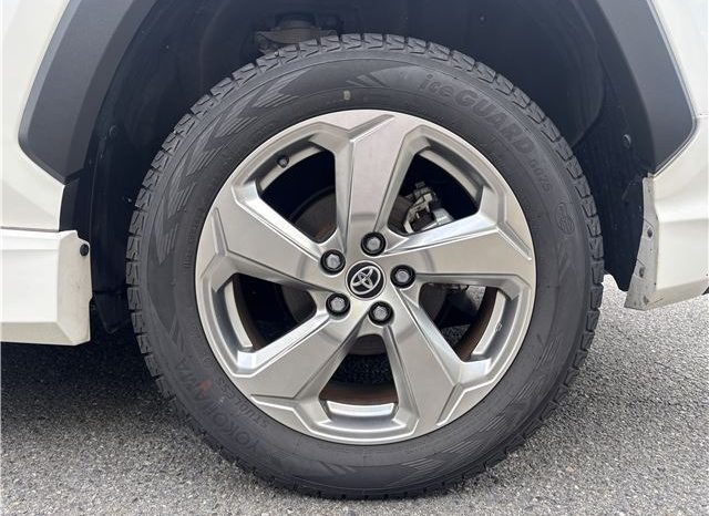 Toyota RAV4 Hybrid G 2021 full