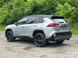 Toyota RAV4 Hybrid SE 2020 full