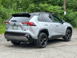 Toyota RAV4 Hybrid SE 2020 full