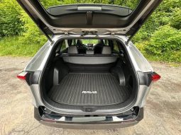 Toyota RAV4 Hybrid SE 2020 full