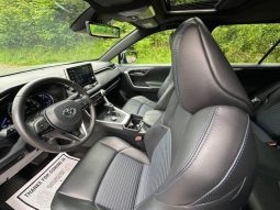 Toyota RAV4 Hybrid SE 2020 full