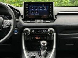 Toyota RAV4 Hybrid SE 2020 full