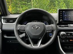 Toyota RAV4 Hybrid SE 2020 full