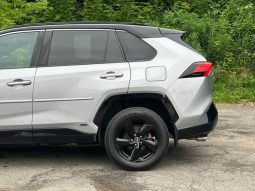 Toyota RAV4 Hybrid SE 2020 full