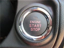 Subaru XV  2.0e-S EyeSight 2020 full