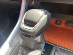 Toyota RAV4 Adventure full