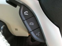 Suzuki Ignis MZ 2020 full