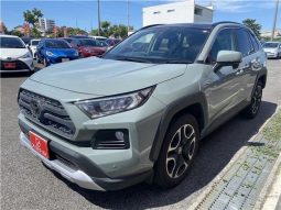 Toyota RAV4 Adventure full