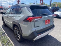 Toyota RAV4 Adventure full