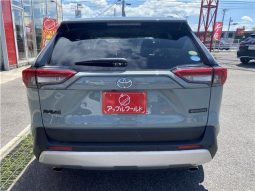 Toyota RAV4 Adventure full