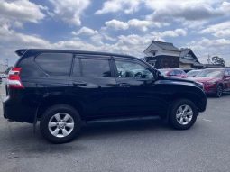 Toyota Land Cruiser Prado TX L 2014 full