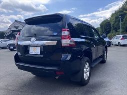 Toyota Land Cruiser Prado TX L 2014 full