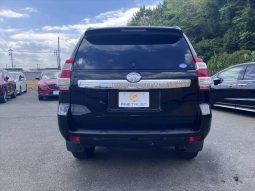 Toyota Land Cruiser Prado TX L 2014 full