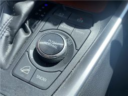 Toyota RAV4 Adventure full