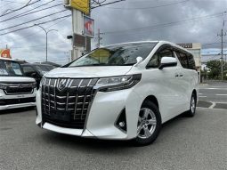 Toyota Alphard G 2019 full
