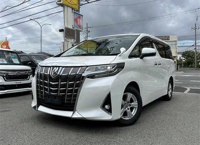Toyota Alphard G 2019 full