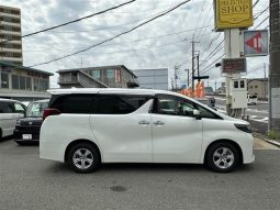Toyota Alphard G 2019 full