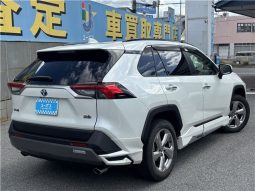 Toyota RAV4 Hybrid G 2021 full