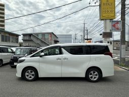 Toyota Alphard G 2019 full