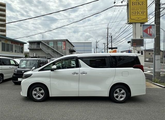 Toyota Alphard G 2019 full