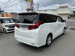 Toyota Alphard G 2019 full