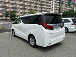 Toyota Alphard G 2019 full