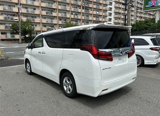 Toyota Alphard G 2019 full