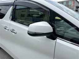 Toyota Alphard G 2019 full