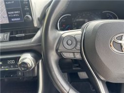 Toyota RAV4 Hybrid G 2021 full