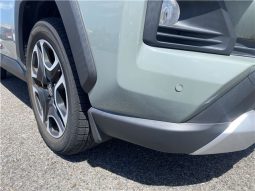 Toyota RAV4 Adventure full