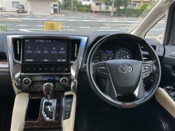 Toyota Alphard G 2019 full