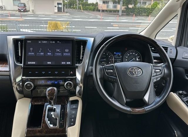 Toyota Alphard G 2019 full