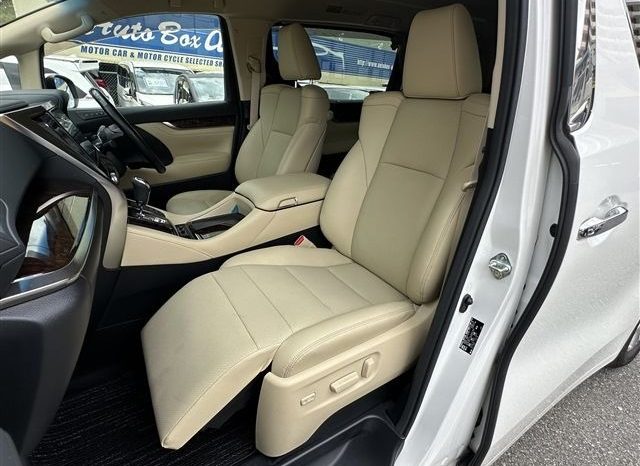Toyota Alphard G 2019 full