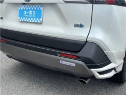 Toyota RAV4 Hybrid G 2021 full