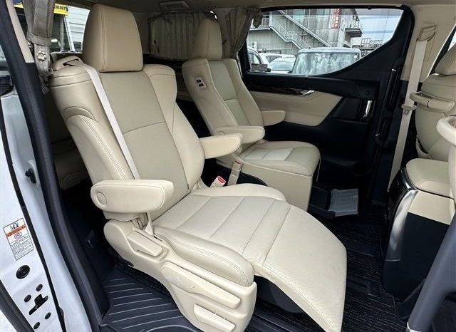 Toyota Alphard G 2019 full