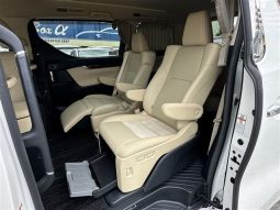 Toyota Alphard G 2019 full