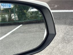 Toyota RAV4 Hybrid G 2021 full