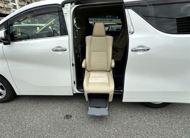 Toyota Alphard G 2019 full